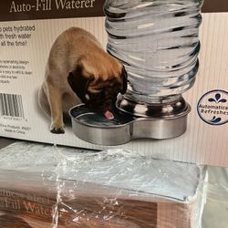 Pet auto water filler