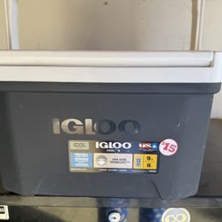 Igloo Mini Ice Chest