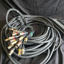 StageMaster Input Snake 16 Channel 