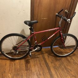 Terry bike 24”