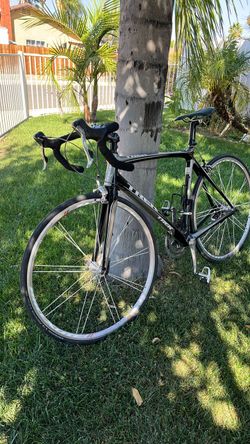 Road Bike TREK CARBON FIBER, size 56”