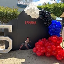Spider-Man Theme Birthday 