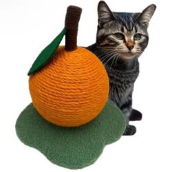 Para Gatos