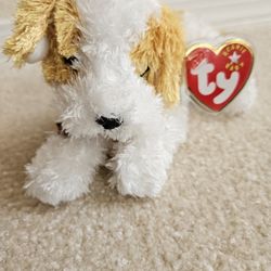 Beanie Babies Collection  Collectable Beanie Babies  Darling Dog