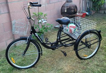 Adult Tricycle