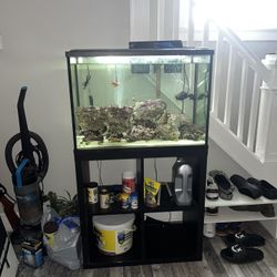 45 Gallon Salt Water Aquarium Everything Included