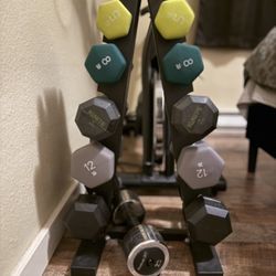 Dumbbell Set & Stand