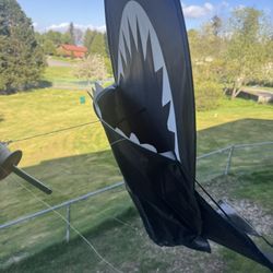 Shark Kite 