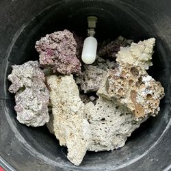 Live Rock For Reef Tanks 