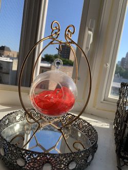 Ornament Display Frame