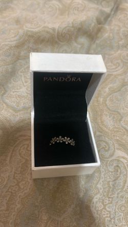 Pandora accessories