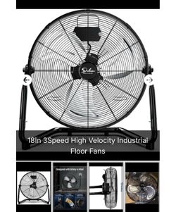 Fan