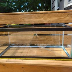 20 Gallon Long Fish Tank