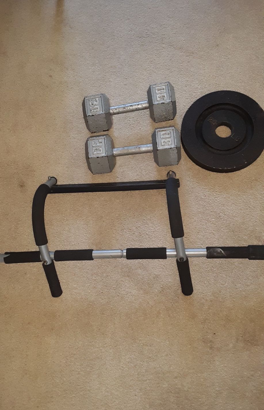 30LBS BARBELL, 25LBS PLATE, PULL UP BAR