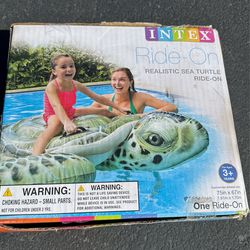 Realistic Ride On Sea Turtle