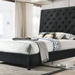 New Queen Bed Frame !! Nueva Cama Queen 