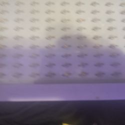 Badass Rolling Light Called  Double OOwolf