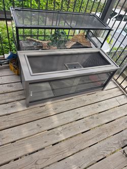Bearded dragon enclosure