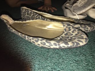 Cheetah Flats