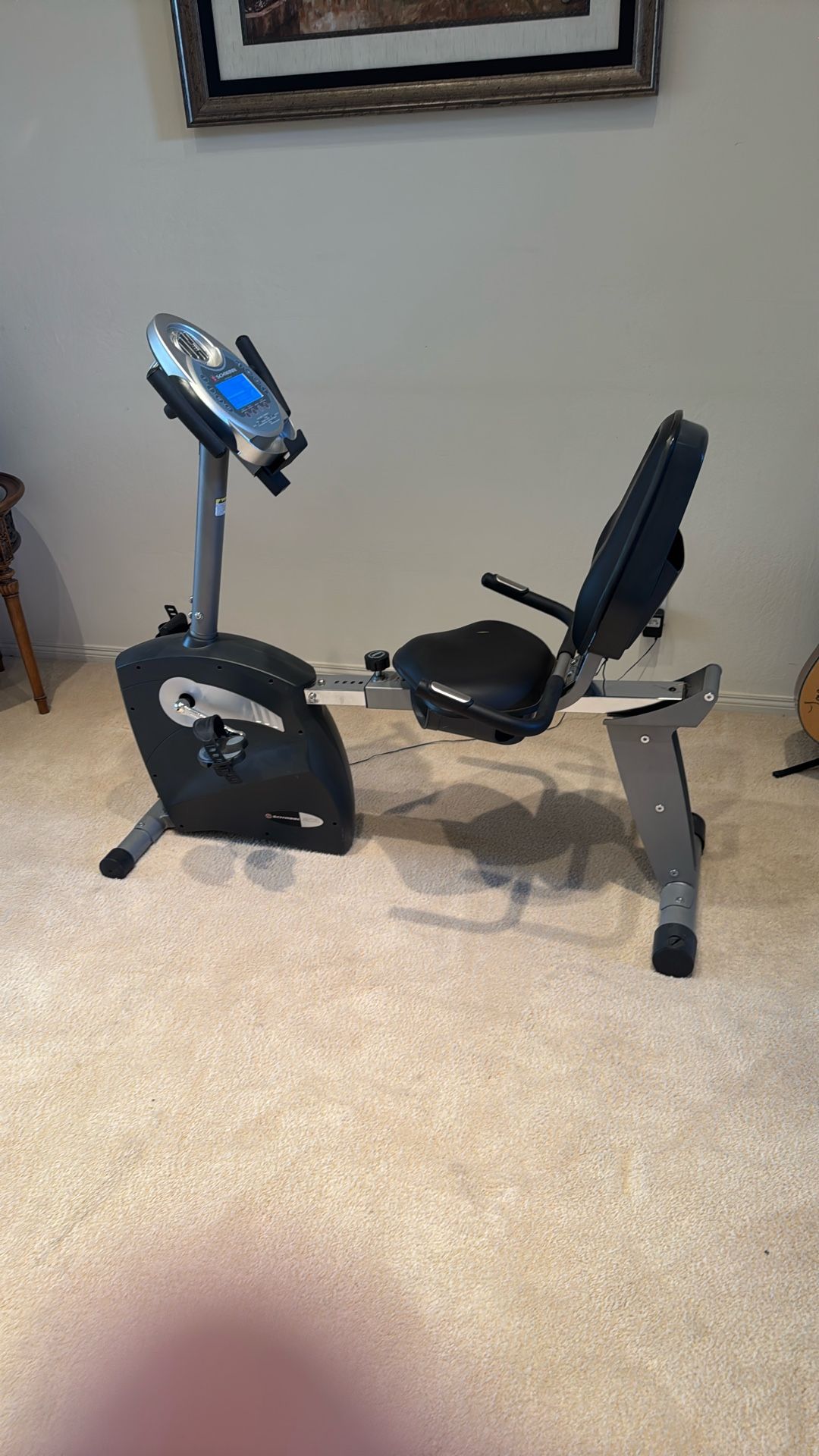 Exercise bike Schwinn 213 Recumbent Sit Down