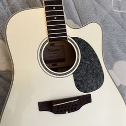 Takamine Gd37 