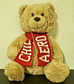 Aeropastale Teddy Bear
