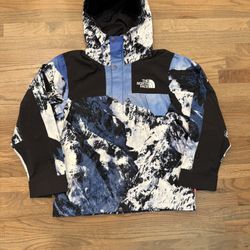 Supreme The North Face Mountain Parka 