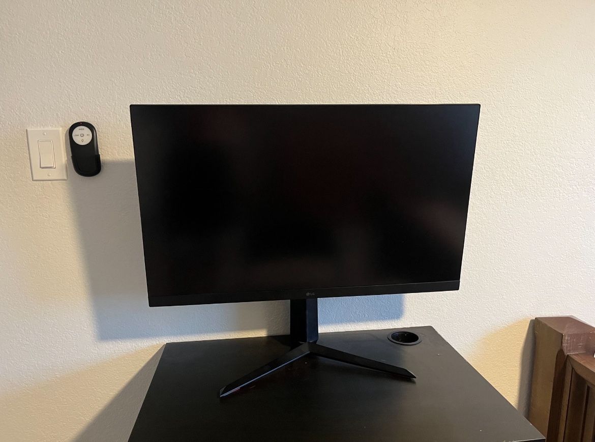 LG Gaming Monitor