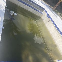 Plaster pool