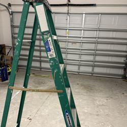 6ft  Ladder 