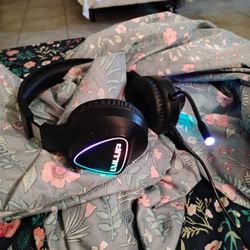 Level Up Gaming Headphones