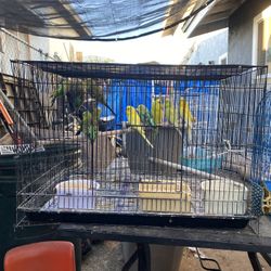 Cage