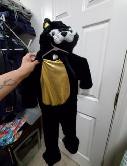 Black Kitty Costume