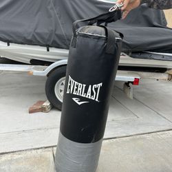 EVERLAST Punching Bag