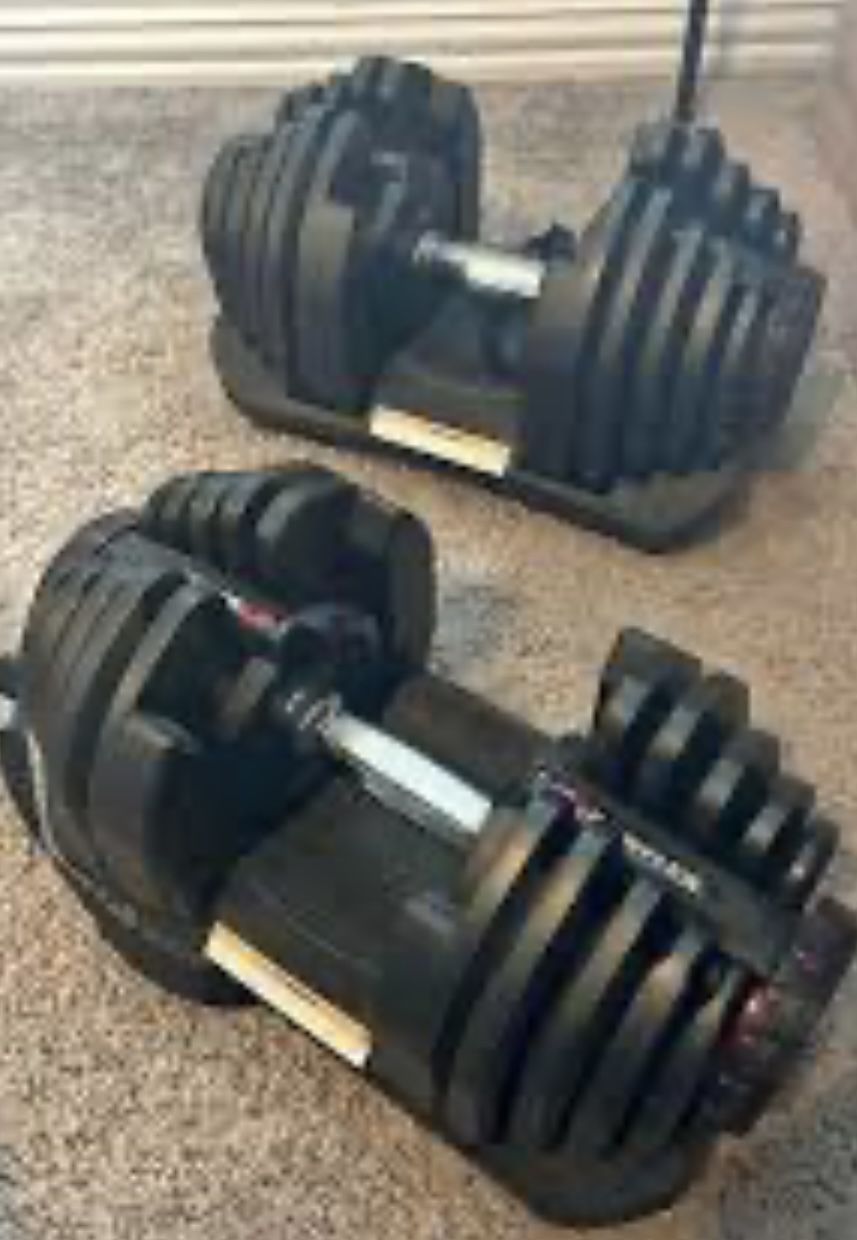 Bowflex Dumbbells 1090