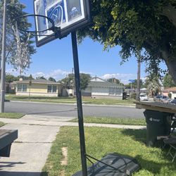 Lifetime Outdoor Portable Basketball Hoop