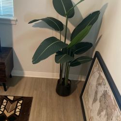 Fake Plant 