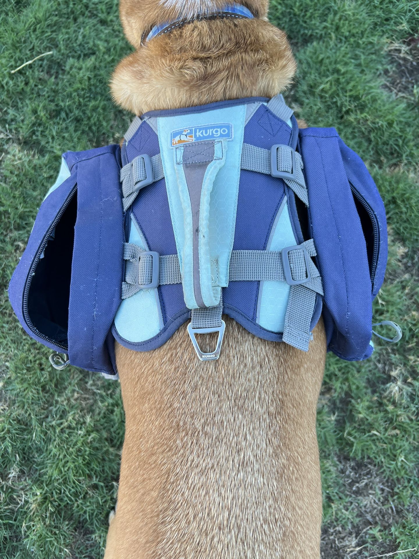 Kurgo Dog Backpack