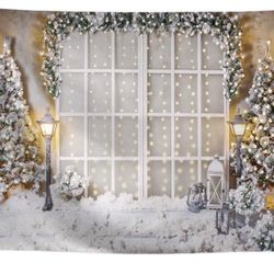 Christmas photo Backdrop 