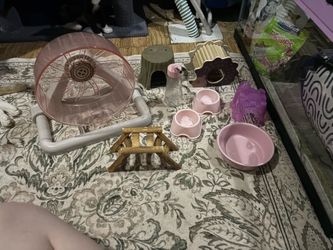 Hamster stuff