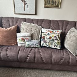 Brown Couch 