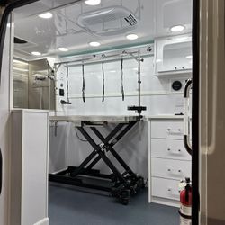 For Sale Pet Grooming RAM Promaster 2500