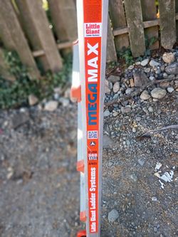 Little giant mega max ladder system