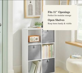 White 6 cube organizer