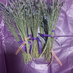 Fragrant Lavender 