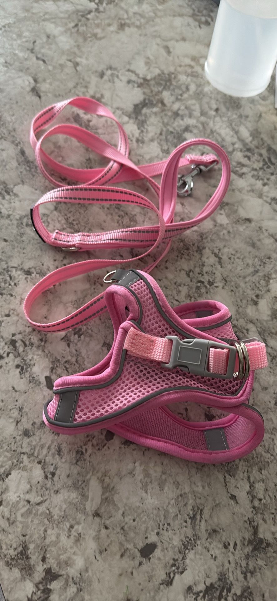 Pet Harness And Leash