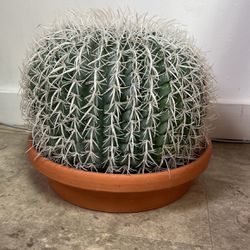 Large Faux Cactus Succulent 