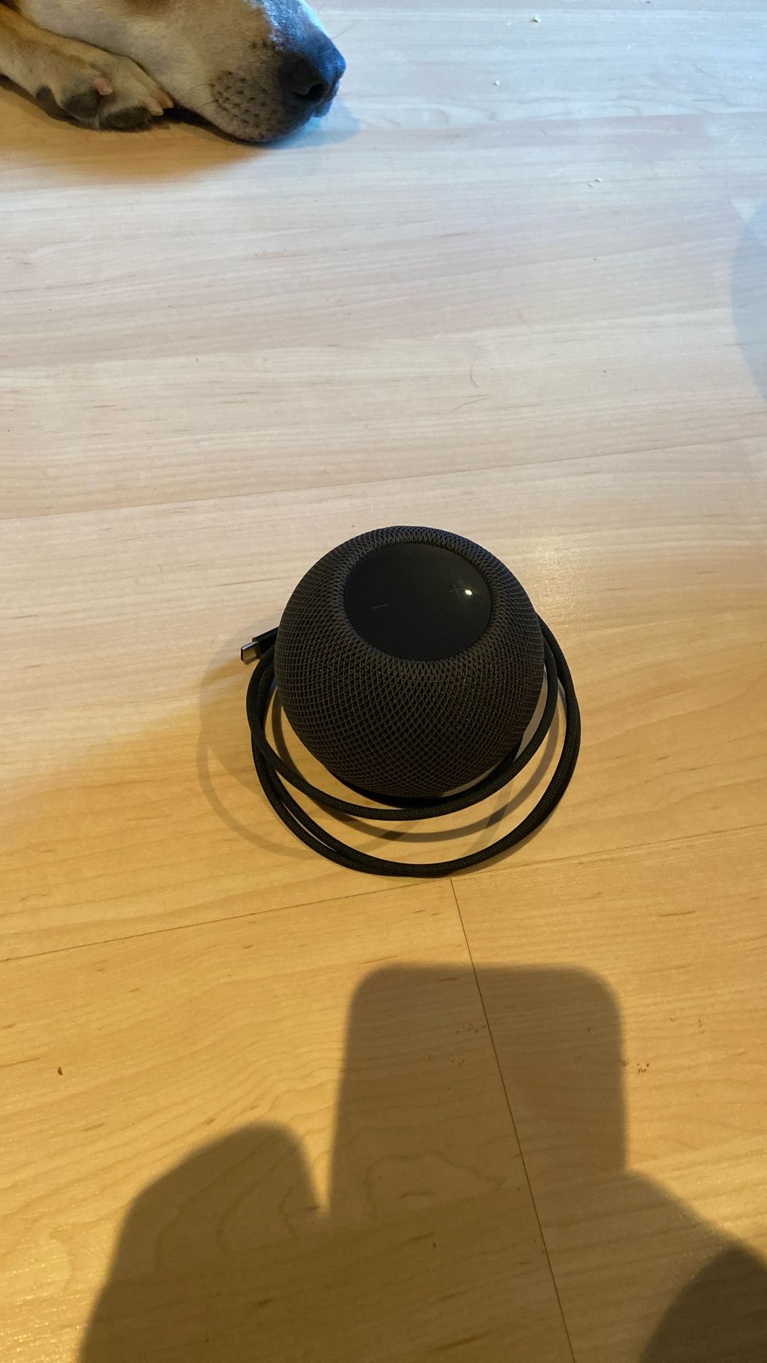 Apple HomePod Mini