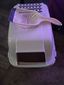 Cat litter box and food treats