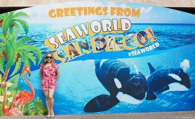 πβ¨ SEA WORLD SAN DIEGO β CHRISTMAS CELEBRATION! β¨π